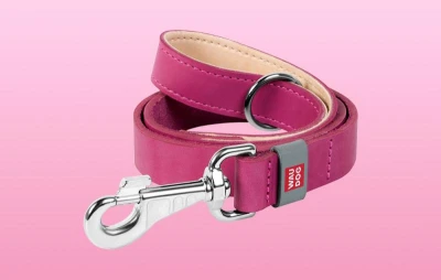 Waudog Classic růžové 25 mm x 122 cm kožené vodítko pro psy