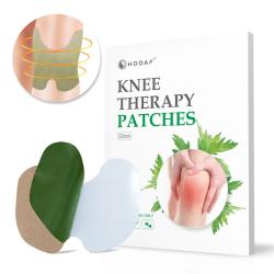 Wellife Náplasti proti bolesti kolen a kloubů Knee Therapy 12 ks Wellife Náplasti proti bolesti kolen a kloubů Knee Therapy 12 ks