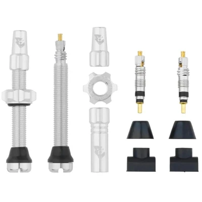 WOLF TOOTH Tubeless Valve Stem Kit 44mm Raw Silver ventilky WOLF TOOTH Tubeless Valve Stem Kit 44mm Raw Silver ventilky