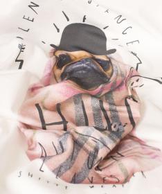 WOOX Canis Miserabilis dámské triko