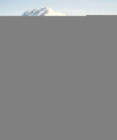 Woox Pankow Black Beauty softshell bunda