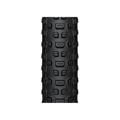 Wtb Plášť Ranger 2.4 29[39] Tcs Light Fast Rolling Sg2 Černá