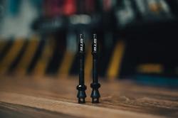 WTB Tcs Al Max-flow Presta Valve 44mm ventilky