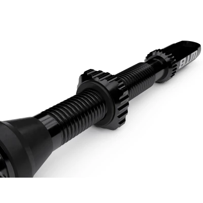 WTB TCS AL Max-Flow Presta Valve 55mm Černá 2 Ventilky