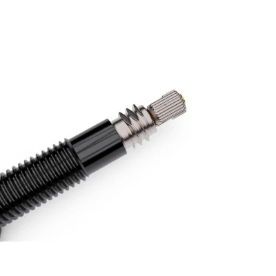 WTB TCS AL Max-Flow Presta Ventil 65mm Čierna 2 ventilky
