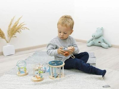 Zopa Dřevěná aktivity vkládačka Blue