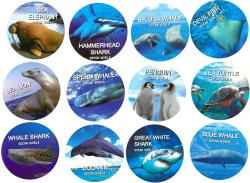 Zvířátko mořské vodní 6-10cm plastová figurka 12 druhů