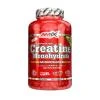 Amix Creatine Monohydrate 750mg 220 kapslí Amix Creatine Monohydrate 750mg 220 kapslí
