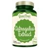 GreenFood Astragalus Extract 90 kapslí