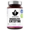Puhdistamo Digestive Enzymes 60 kapslí Puhdistamo Digestive Enzymes 60 kapslí