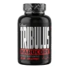 FitBoom Tribulus 90% 100 tablet FitBoom Tribulus 90% 100 tablet