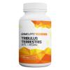 GymSupps Tribulus Terrestris 90% + Piperine 100 kapslí