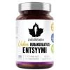 Puhdistamo Super Digestive Enzymes 60 kapslí Puhdistamo Super Digestive Enzymes 60 kapslí