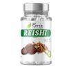 Revix Reishi 90 kapslí Revix Reishi 90 kapslí