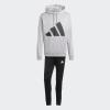 Adidas M BL FT HD TS JI8870 Souprava Silon