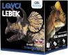 Albi Science Lovci lebek Triceratops vykopej a vystav si lebku dinosaura Albi Science Lovci lebek Triceratops vykopej a vystav si lebku dinosaura