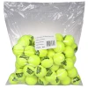 Babolat Gold Academy tenisové míče Babolat Gold Academy tenisové míče
