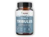 Blendea Tribulus Terrestris 60 kapslí