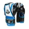 BUSHIDO Boxerské rukavice DBX ARB407v1 6 oz. BUSHIDO Boxerské rukavice DBX ARB407v1 6 oz.