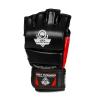BUSHIDO MMA DBX e1v3 mma rukavice