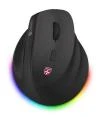 Connect IT FOR HEALTH Cloudy bezdrátová vertikální myš, RGB podsvícení, 2xBT,USB ČERNÁ