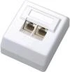 DATACOM Datová zásuvka UTP CAT6 2xRJ45 na omítku 45st. bílá DATACOM Datová zásuvka UTP CAT6 2xRJ45 na omítku 45st. bílá