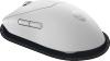 Dell Alienware Pro Wireless Gaming Mouse (Lunar Light)