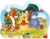 Dino Puzzle obrysové deskové 25 dílků Schovávaná s Medvídkem Pú 30x23cm