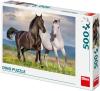 Dino Puzzle Zamilovaní koně 47x33cm foto skládačka 500 dílků