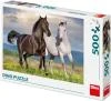 Dino Puzzle Zamilovaní koně 47x33cm foto skládačka 500 dílků Dino Puzzle Zamilovaní koně 47x33cm foto skládačka 500 dílků