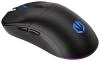 Endorfy myš GEM Plus PAW3395/Khail GM 8.0/bezdrátová/RGB/černá