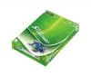 Europapier STANDARD PAPER A4, 80g/m2, 1x500listů