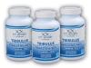 FitSport Nutrition 3x Tribulus Terrestris 90% + Vitamin B6 + Zinc 100 caps FitSport Nutrition 3x Tribulus Terrestris 90% + Vitamin B6 + Zinc 100 caps