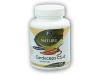 Golden Natur Cordyceps 30% polysacharidů 100 kapslí