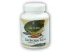 Golden Natur Cordyceps 30% polysacharidů 100 kapslí Golden Natur Cordyceps 30% polysacharidů 100 kapslí