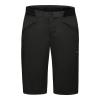 Gore Fernflow Shorts Mens + sleva 200,- na příslušenství