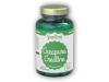 GreenFood Nutrition Creapure creatine 120 kapslí