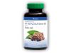 Herbal World STRONGMANworld - Zázvor černý 100 kapslí