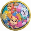 John Míč Paw Patrol (Tlapková Patrola) 23cm balon s potiskem John Míč Paw Patrol (Tlapková Patrola) 23cm balon s potiskem