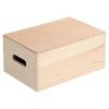 KESPER 69401 Úložný box s výklopným víkem 29 x 19 x 13,5 cm