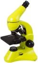 Levenhuk Mikroskop Rainbow 50L PLUS Lime Levenhuk Mikroskop Rainbow 50L PLUS Lime