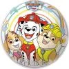 MONDO Míč s potiskem 23cm Paw Patrol (Tlapková Patrola) MONDO Míč s potiskem 23cm Paw Patrol (Tlapková Patrola)