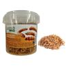 Mouční červi JUKO, dóza 500 ml ( 80g )