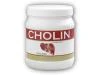 Nutristar Cholin 500 kapslí Nutristar Cholin 500 kapslí