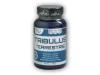 Nutristar Tribulus Terrestris Kotvičník 100 tablet Nutristar Tribulus Terrestris Kotvičník 100 tablet