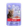 Plaisir Cat hovězí krocaní, kapsička 100 g