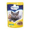 PreVital kočka kuřecí v omáčce, kapsa 100 g (bal. 24 ks)