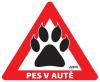 Samolepka pes v autě venkovní TLAPKA