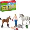 Schleich Návštěva lékaře u klisny a hříběte herní set 2 koníci s doplňky Schleich Návštěva lékaře u klisny a hříběte herní set 2 koníci s doplňky