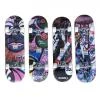 Spartan Skateboard CIRCLE STAR 200